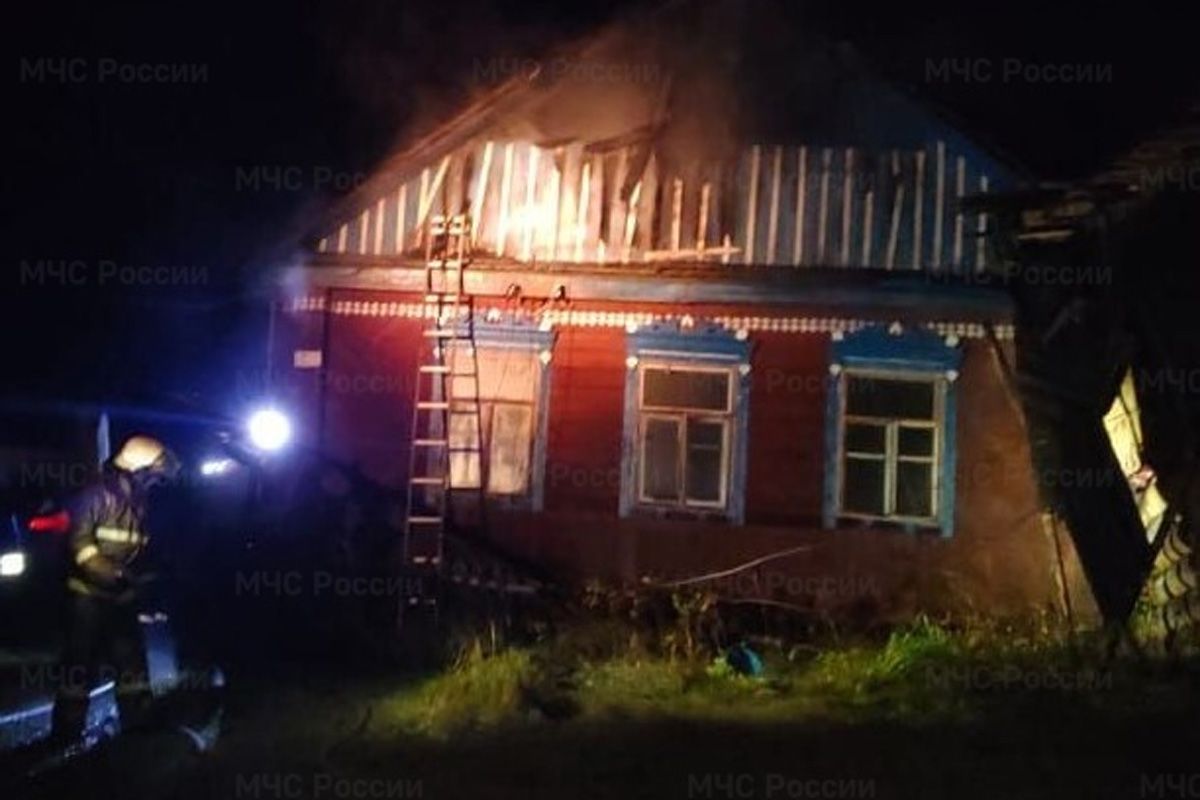 За сутки пожары в Брянской области унесли жизни двух человек