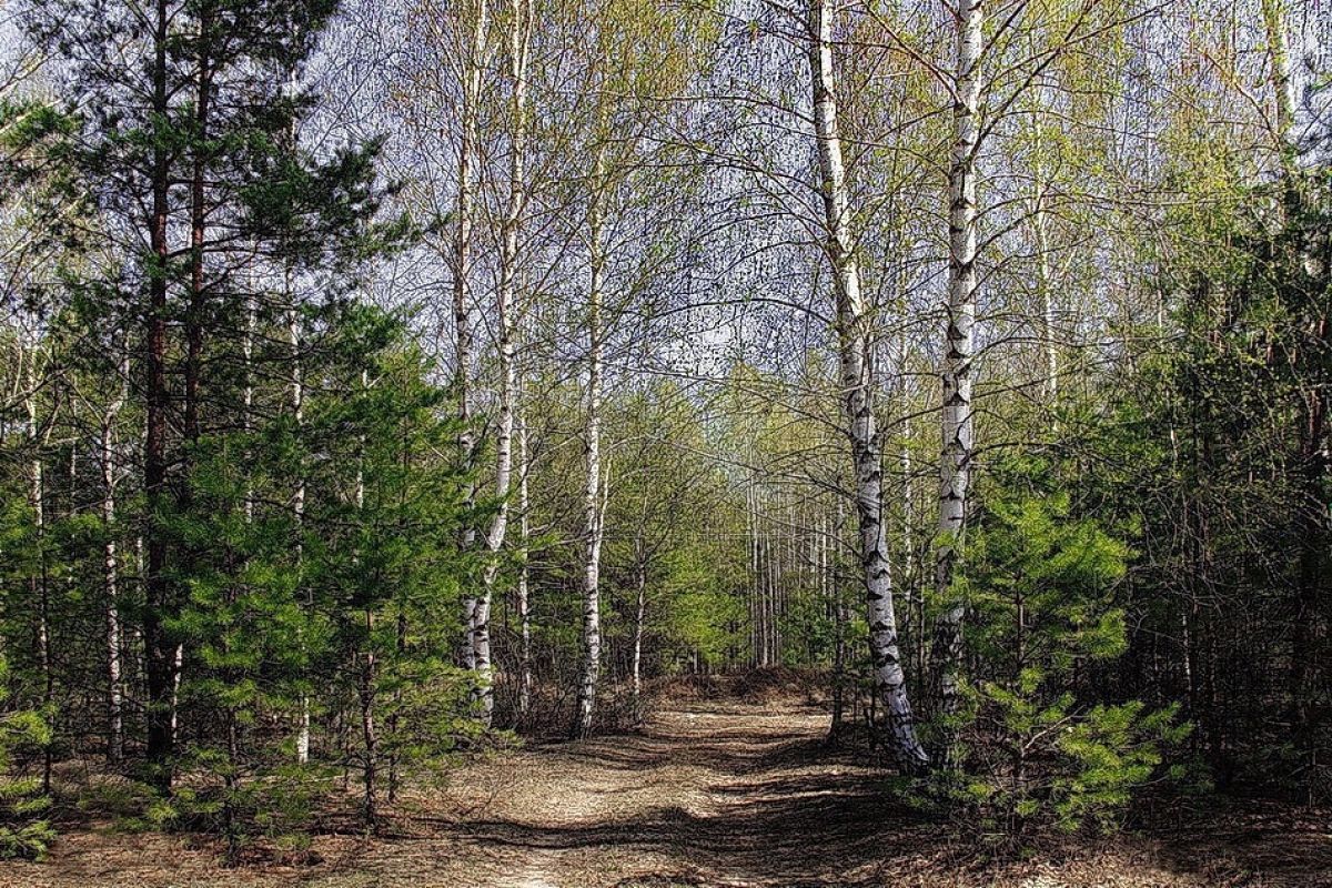 vekkga6sz3k