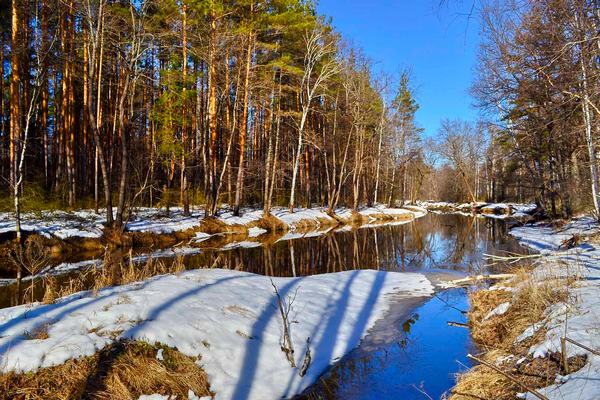 Самая лучшая погода бывает в последний день отпуска. Представляем прогноз на 8 марта в Иванове