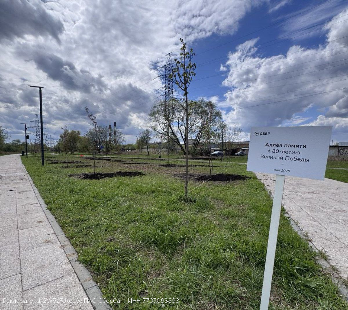 В Иванове в годовщину 80-летия Победы высадили аллею из декоративных яблонь