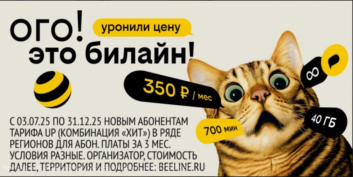Билайн снизил цены для жителей Иваново при новом подключении