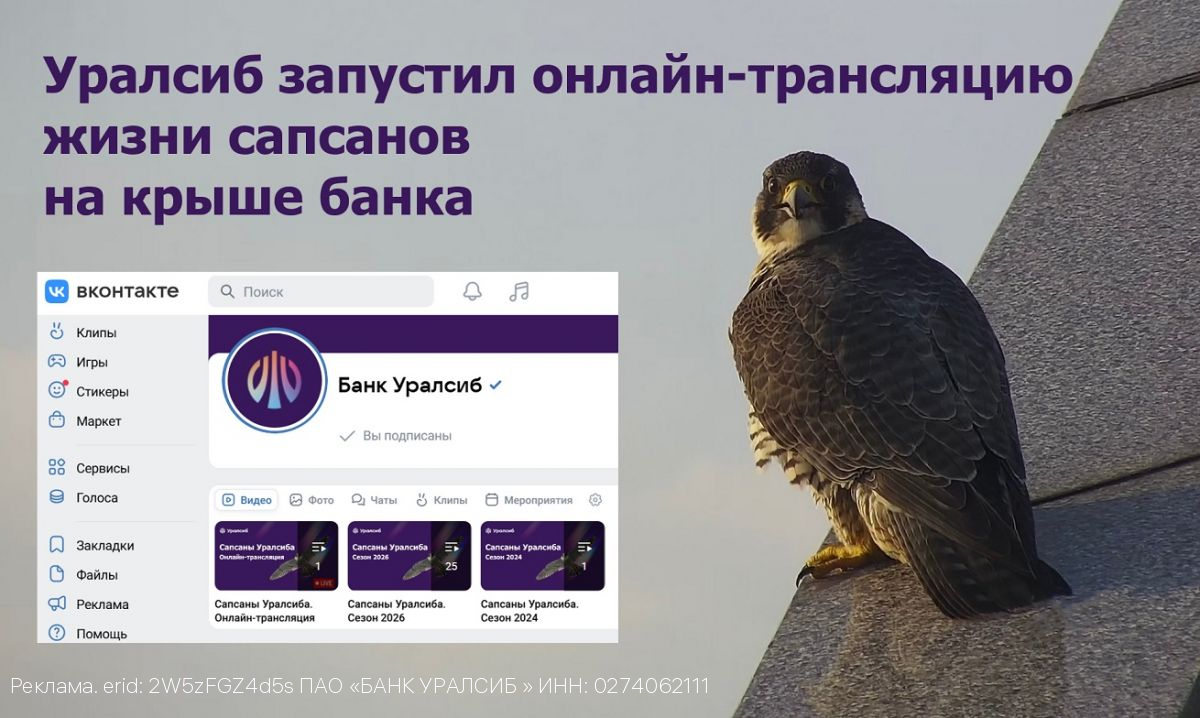 Уралсиб запустил онлайн-трансляцию жизни сапсанов на крыше банка