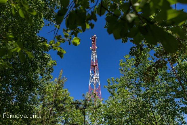 МегаФон определил самые общительные города области