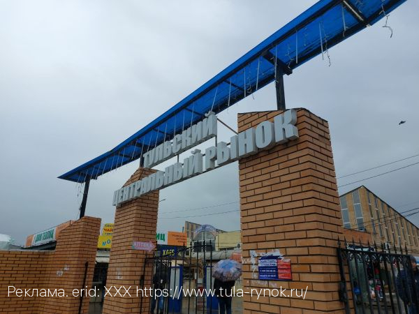 Товары каких производителей чаще присутствуют на Тульском Центральном рынке в условиях санкций?