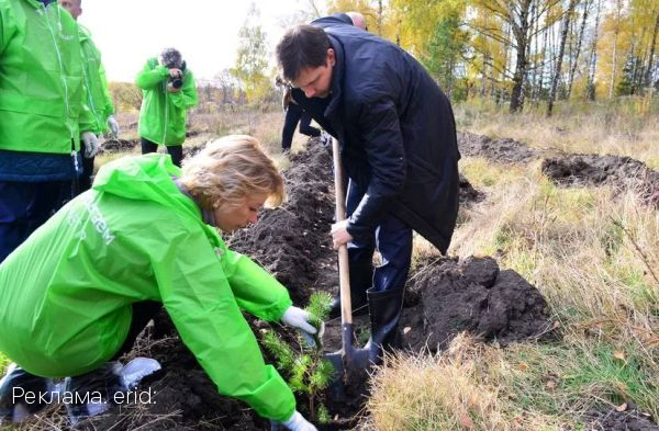 Сбер принял участие в посадке 12 тысяч сосен в Орловской области
