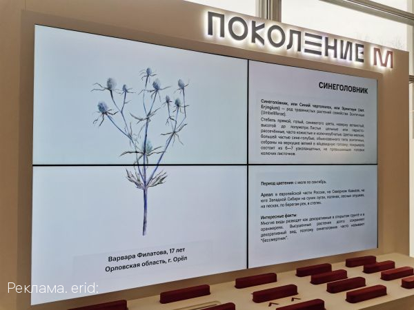 Работа орловской студентки выставляется в Третьяковской галерее
