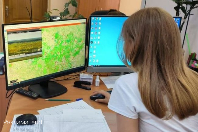 Больше половины лесных пожаров во Владимирской области помог предотвратить искусственный интеллект
