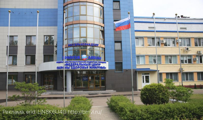 О чем говорит аббревиатура «ЕАС» на упаковке и товаре, рассказал эксперт Брянского отдела инспекции ФГБУ «ВНИИЗЖ»