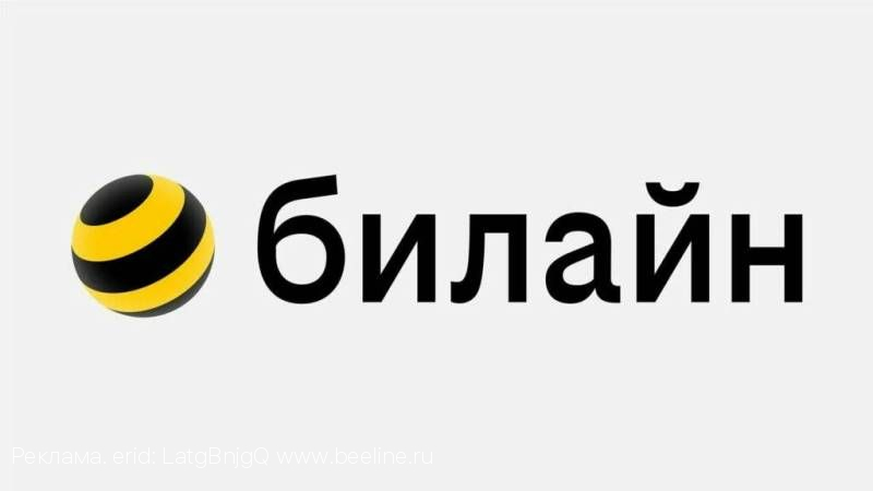 Lamoda интегрировала платформу билайн adtech для продвижения селлеров и брендов