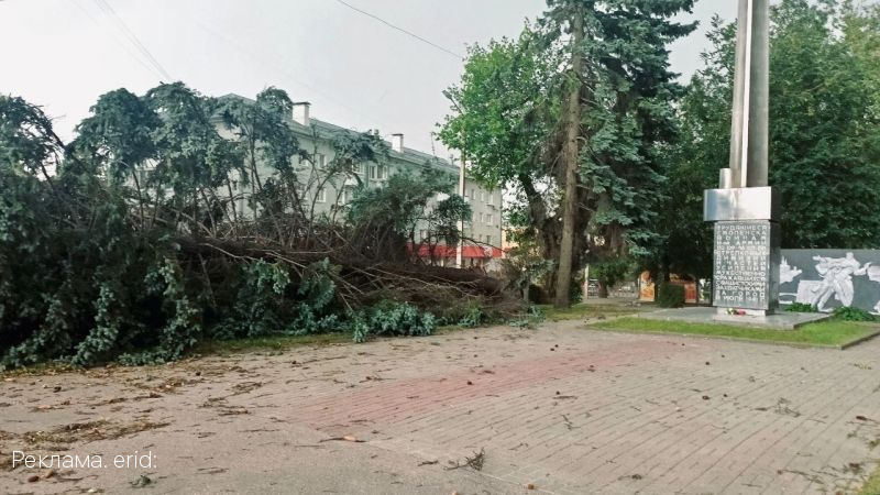 Энергетики ликвидируют последствия непогоды в Смоленской области
