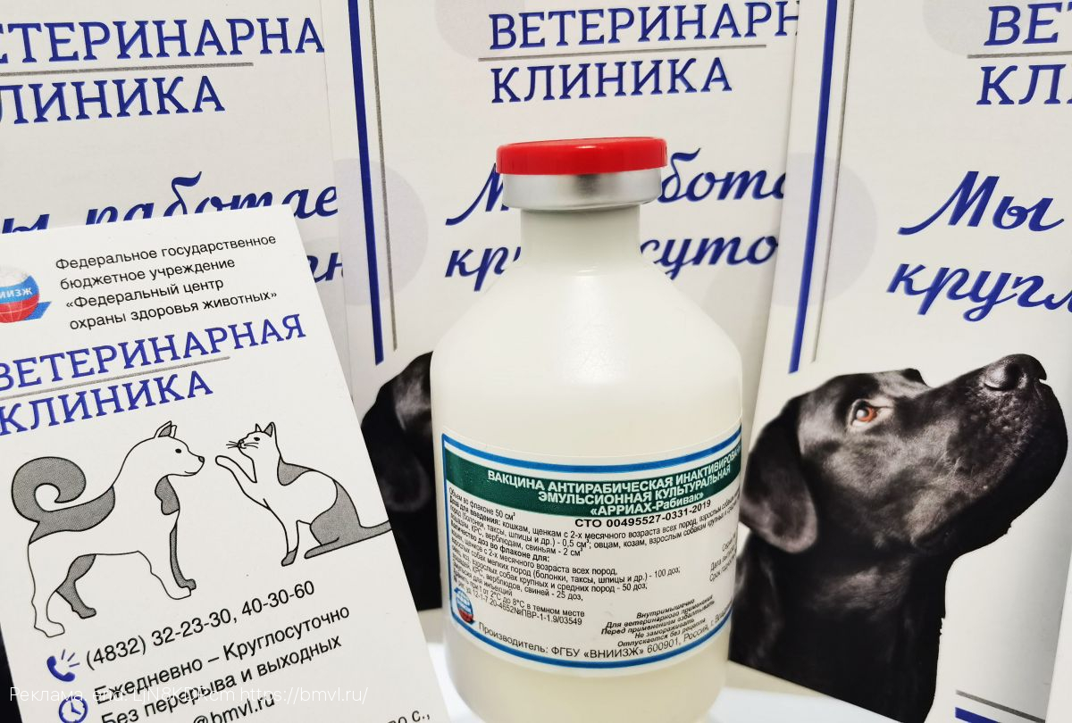 К Всемирному дню борьбы с бешенством