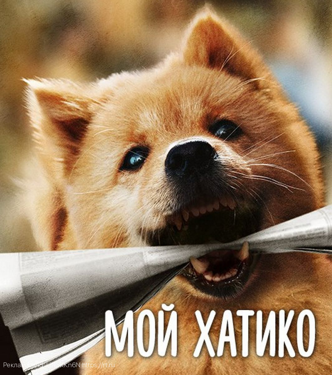 Кино без границ: октябрьские премьеры в Wink — от турецких сериалов до корейского экшена