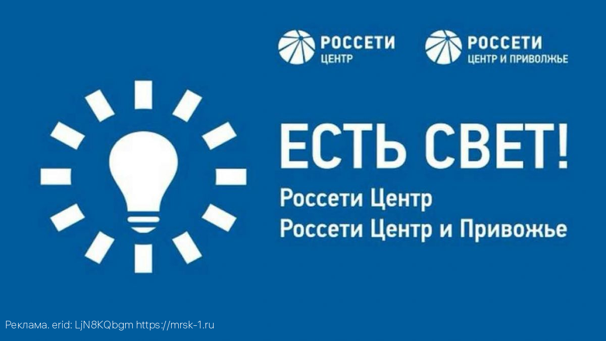 Приложение «Есть свет!» установили 3,8 тыс. потребителей «Воронежэнерго»