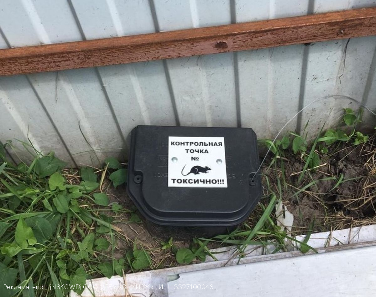 В Брянском филиале ФГБУ «ВНИИЗЖ» рассказали о применении родентицидов в борьбе с грызунами