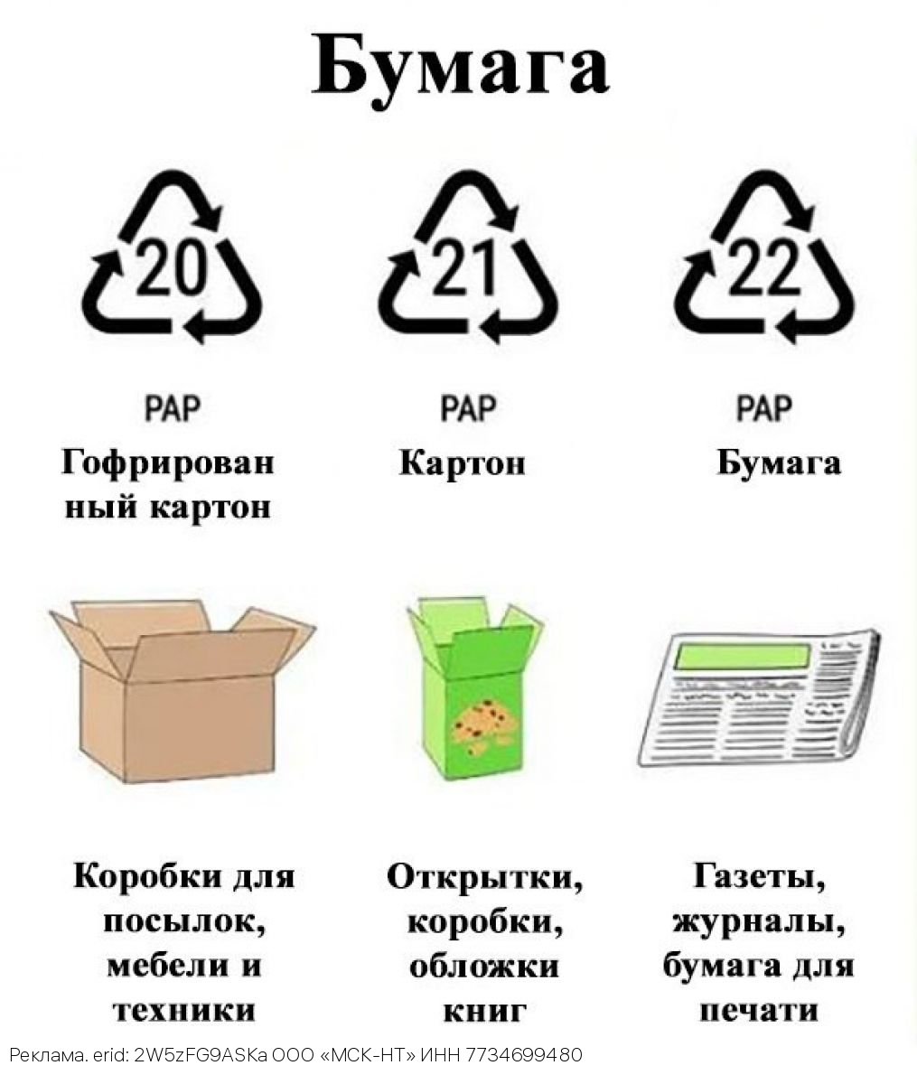 Раздельный сбор отходов: бумага