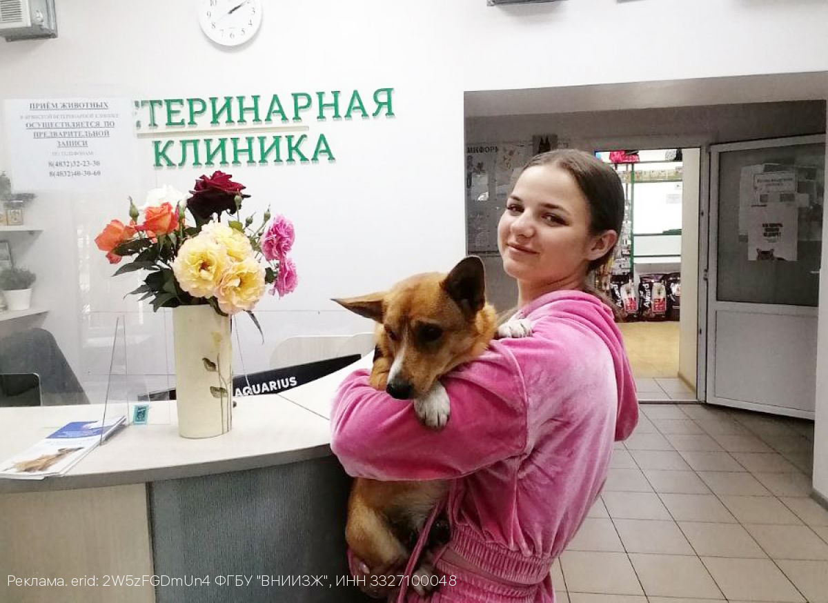 Простые советы, чтобы уберечь питомца от теплового удара в жару