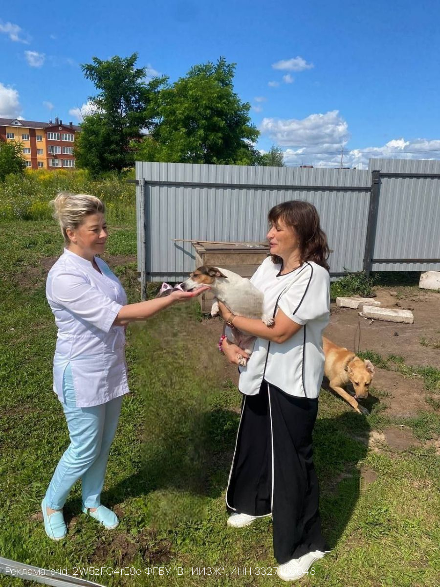 Ветеринарные врачи Брянской ветеринарной клиники ФГБУ ВНИИЗЖ оказывают выездную помощь животным в отдаленных районах