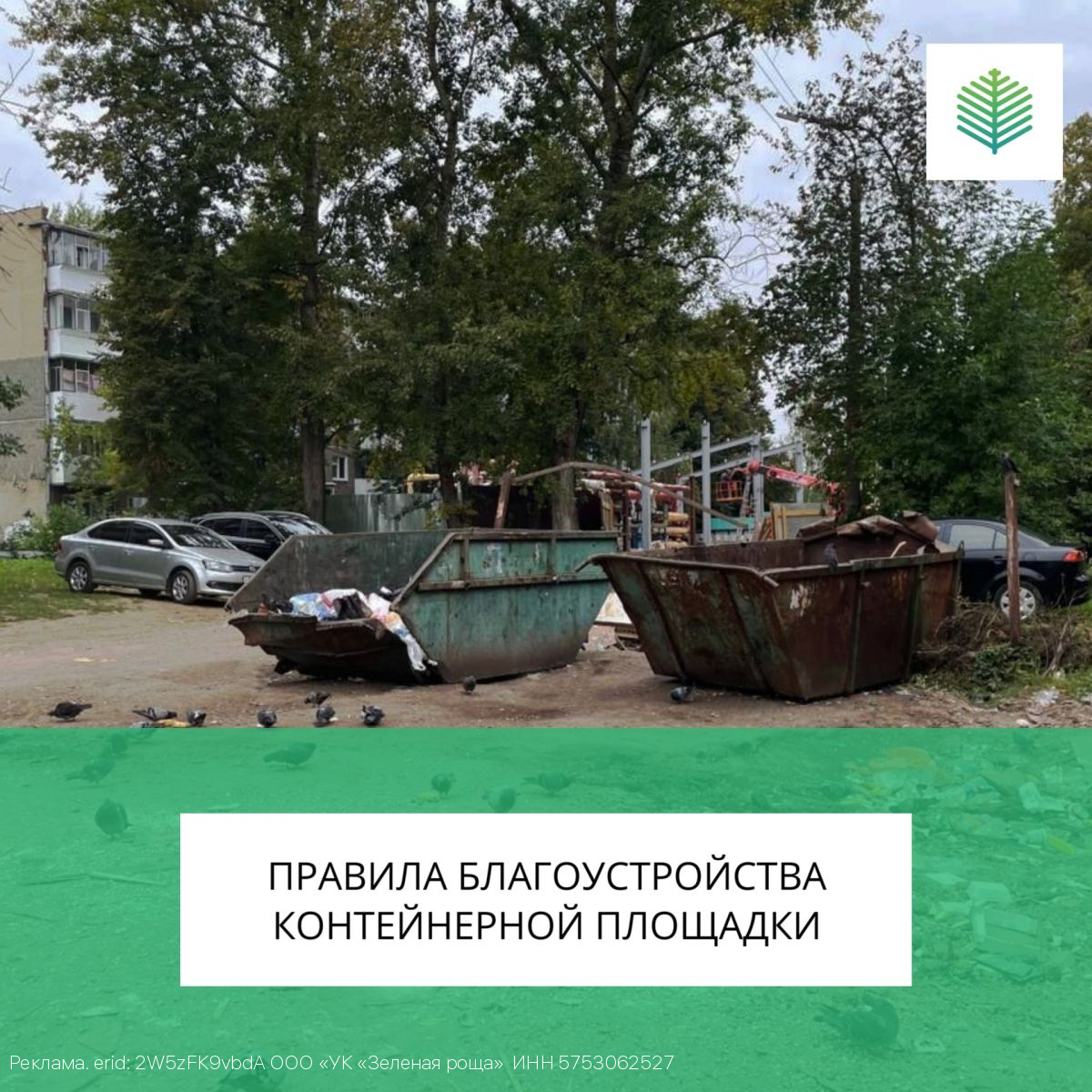 Кто отвечает за чистоту у мусорных контейнеров: разбираемся в зонах ответственности