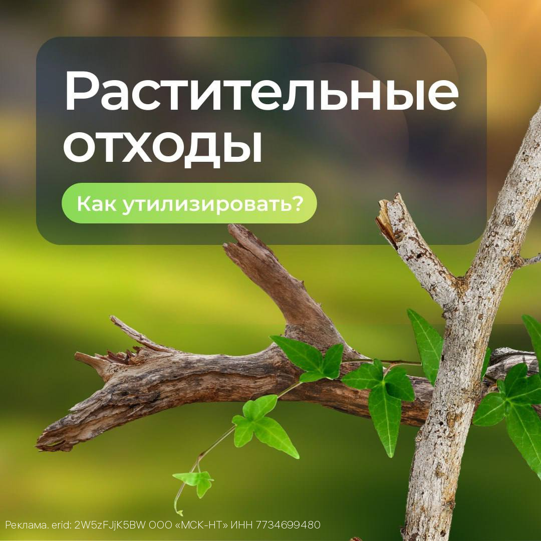 ООО «МСК-НТ»: растительным отходам не место на контейнерной площадке