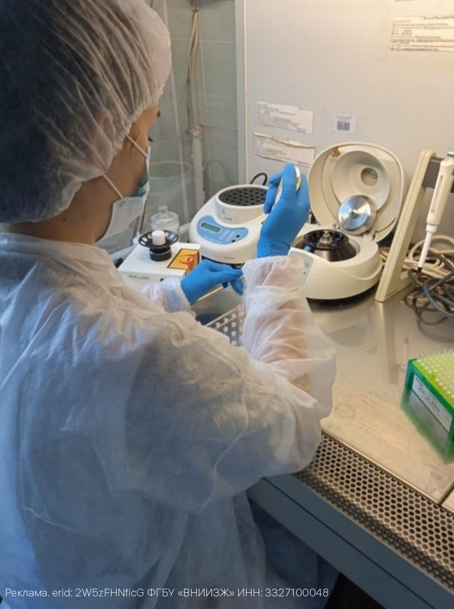 Клещи предпочитают любителей долгих прогулок на природе! Как защитить себя и своего питомца?