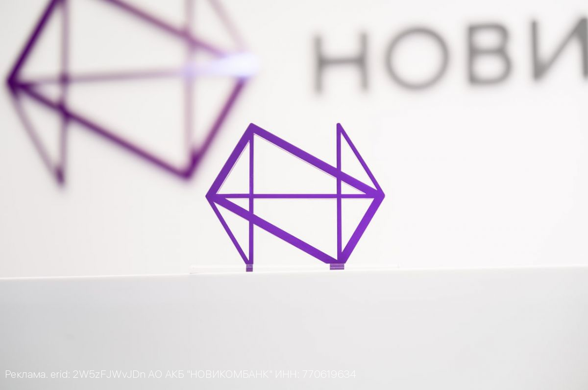 НОВИКОМ отчитался по РСБУ за 9 месяцев 2025 года