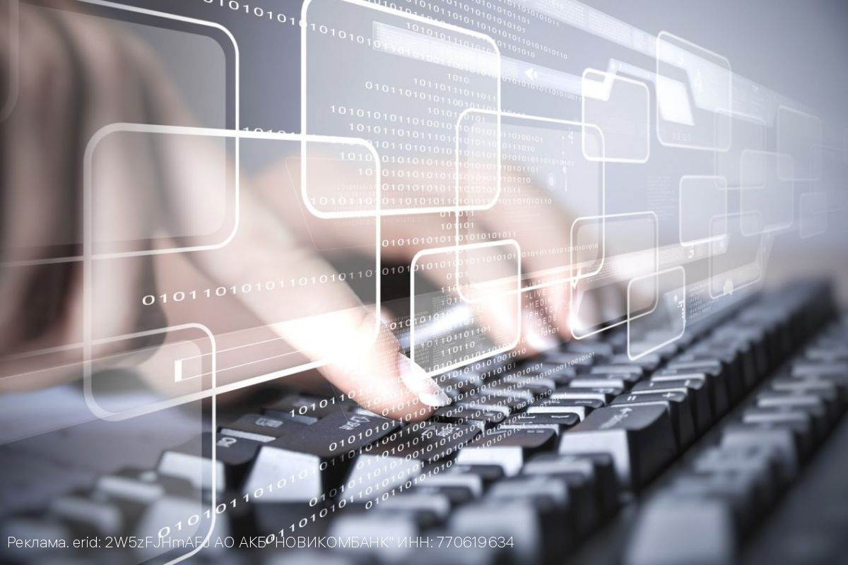 НОВИКОМ рассказал о мошеннической схеме в период уплаты налогов