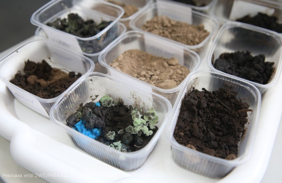 Всемирный день почв: проблема загрязнение избыточным количеством тяжелых металлов