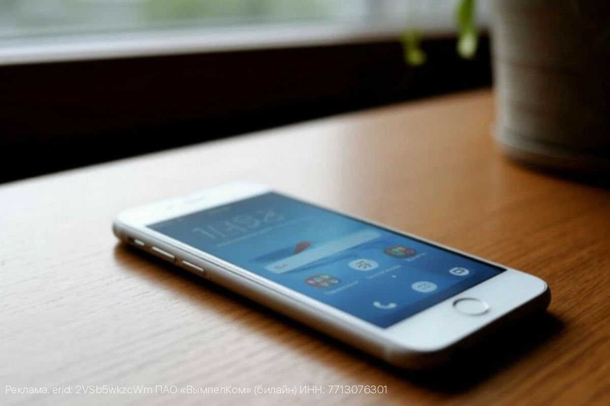 В новогодние выходные на треть больше клиентов Билайна звонили с помощью VoWiFi