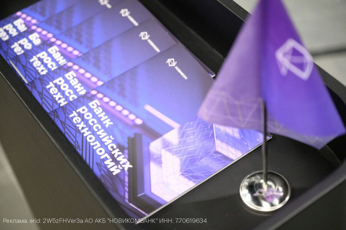 НОВИКОМ на 47% нарастил портфель кредитов под «зонтичные» поручительства