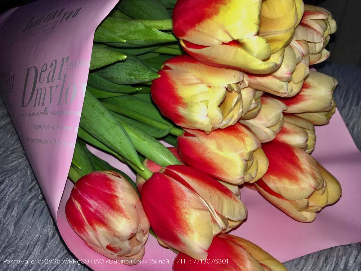 Как выбрать подарок к 8 Марта с помощью нейросетей – Билайн