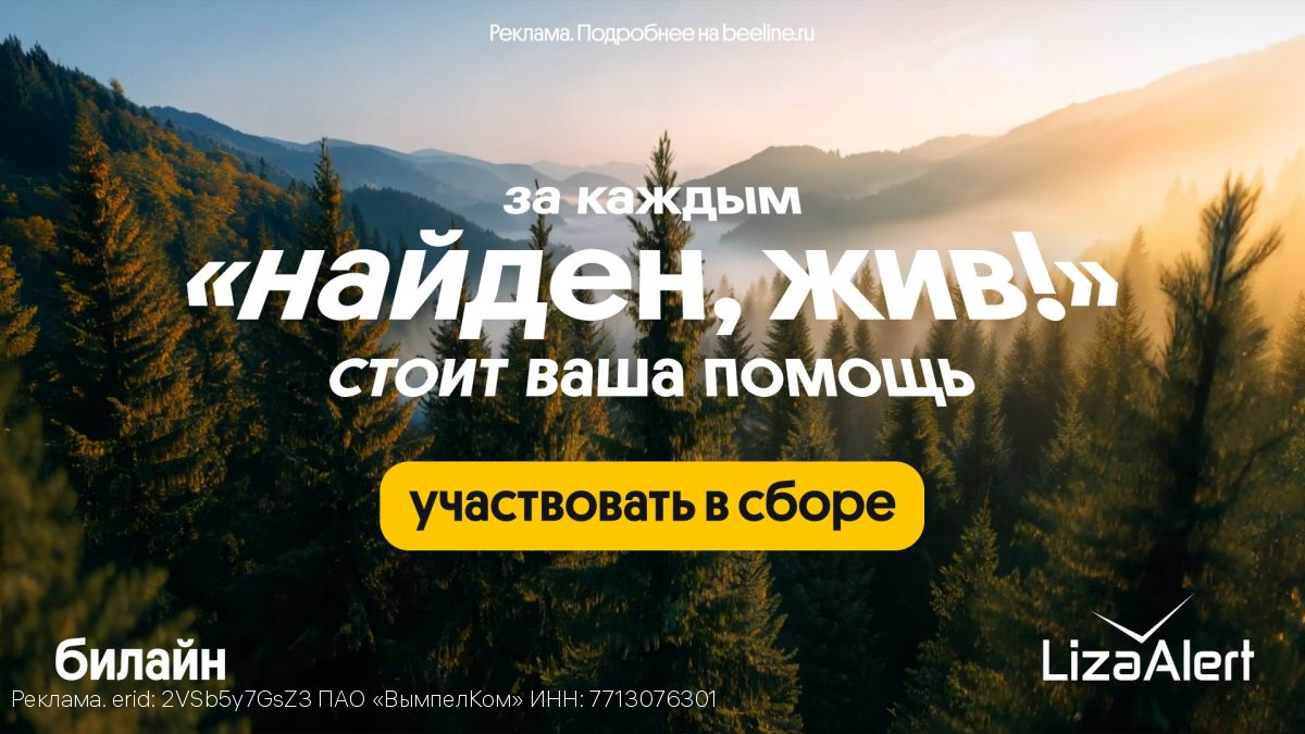 В 2025 году спасательный отряд «ЛизаАлерт» при поддержке Билайна нашел и спас 201 пропавшего жителя Орловской области
