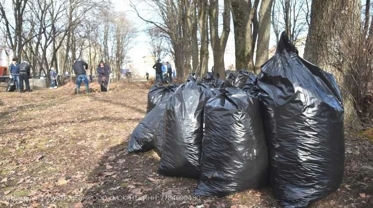 ООО «МСК-НТ» напоминает правила обращения с отходами во время проведения субботников