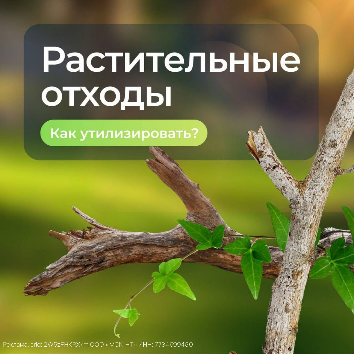 ООО «МСК-НТ»: складирование веток и других растительных отходов на контейнерных площадках является нарушением закона