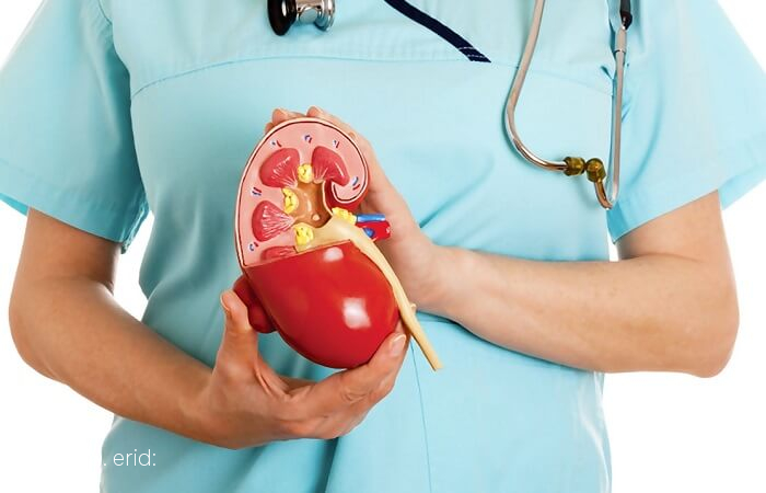 Как получить бесплатную консультацию врача-нефролога в частном медицинском центре