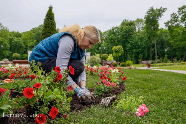 В Платоновском парке продолжаются работы по благоустройству