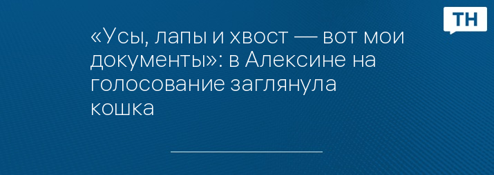 «Усы, лапы и хвост — вот мои документы»: в Алексине на голосование