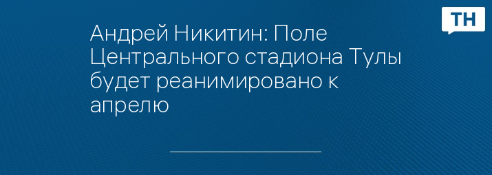 Андрей Никитин: Поле Центрального стадиона Тулы будет реанимировано к апрелю