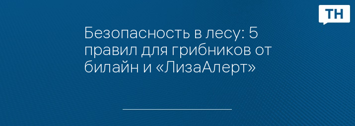 Безопасность в лесу: 5 правил для грибников от билайн и «ЛизаАлерт»