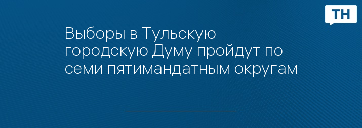 Выборы в Тульскую городскую Думу пройдут по семи пятимандатным округам