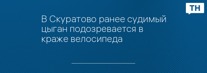 В Скуратово ранее судимый цыган подозревается в краже велосипеда