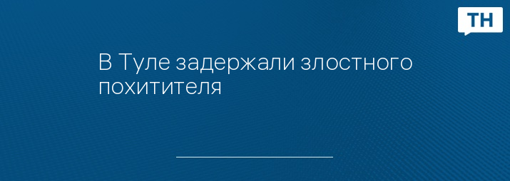 В Туле задержали злостного похитителя