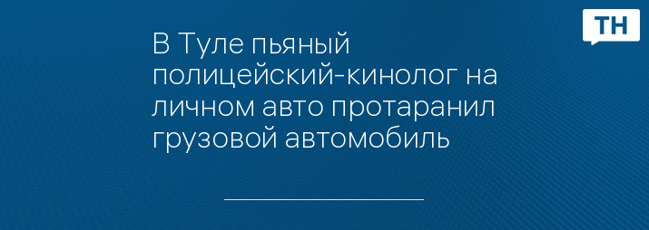 В Туле пьяный полицейский-кинолог на личном авто протаранил грузовой автомобиль