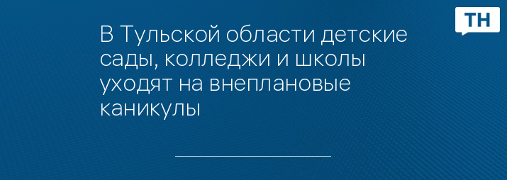 В Тульской области детские сады, колледжи и школы уходят на внеплановые каникулы