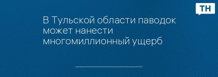 В Тульской области паводок может нанести многомиллионный ущерб