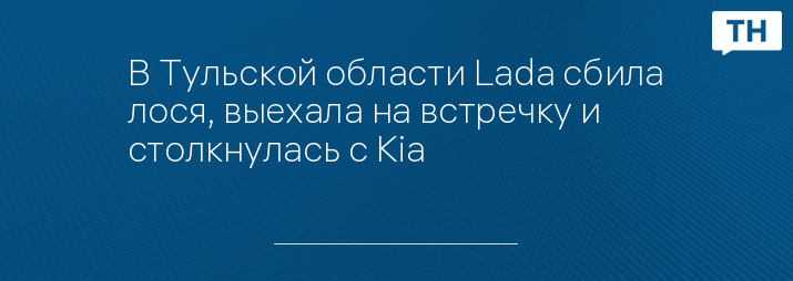 В Тульской области Lada сбила лося, выехала на встречку и столкнулась с Kia 