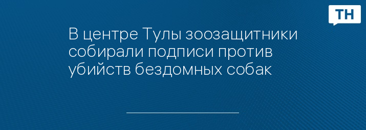 В центре Тулы зоозащитники собирали подписи против убийств бездомных собак