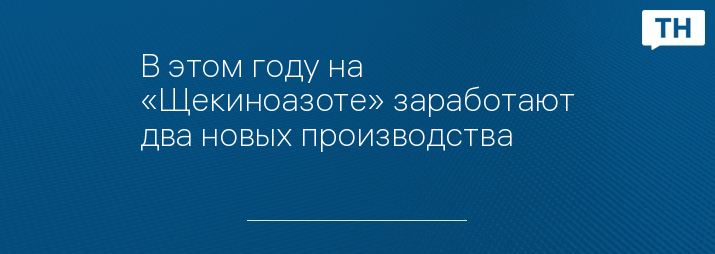 В этом году на «Щекиноазоте» заработают два новых производства