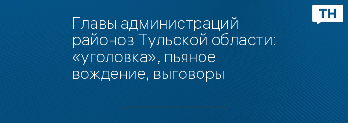 Главы администраций районов Тульской области: «уголовка», пьяное вождение, выговоры