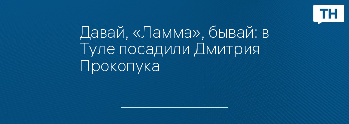 Давай, «Ламма», бывай: в Туле посадили Дмитрия Прокопука