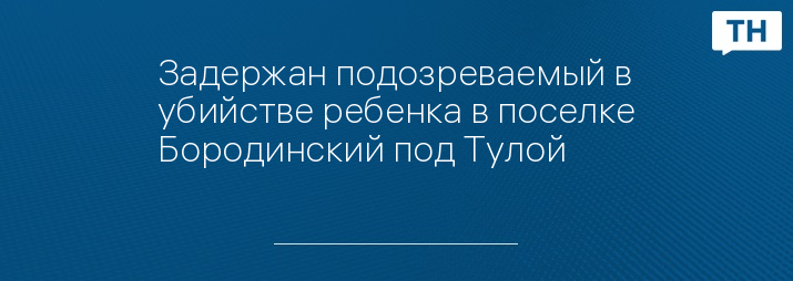 Задержан подозреваемый в убийстве ребенка в поселке Бородинский под Тулой